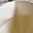 画像14: 陶器 花柄のピッチャーとカップ セット ドイツ Annaburg製 (14)